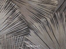 Tapetai 977837