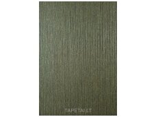 Tapetai 921700