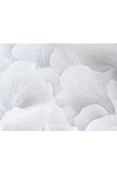 Tapetai 12255-31 Tapetai 12255-31