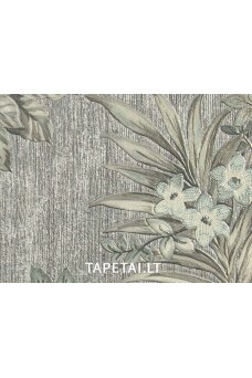 Tapetai 1723