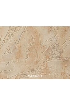 Tapetai 401707 Tapetai 401707