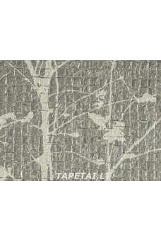 Tapetai 2905