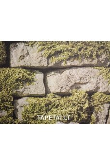 Tapetai 35809-1 Tapetai 35809-1