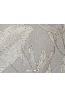Tapetai 36364