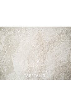 Tapetai 421ST21 Tapetai 421ST21