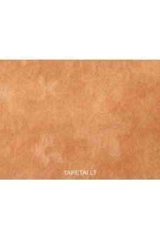 Tapetai 5523-58 Tapetai 5523-58
