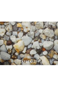 Tapetai 56245