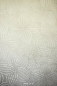 Tapetai 9163-58
