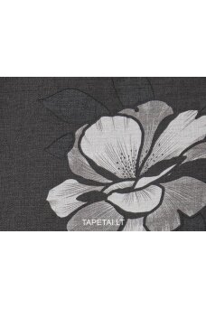Tapetai 938
