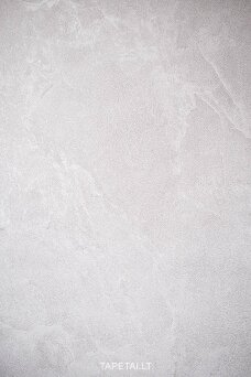 Tapetai HY1204