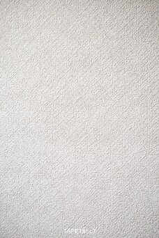 Tapetai CO1101
