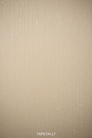 Tapetai 6570-53