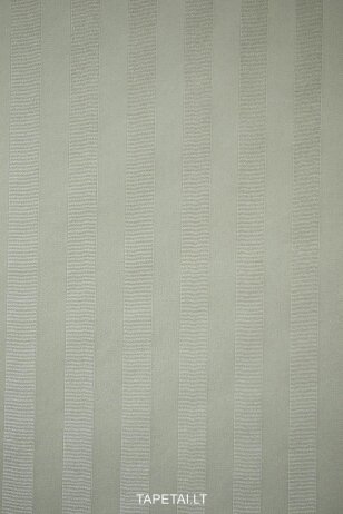 Tapetai 48807P
