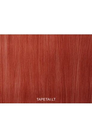 Tapetai 495197 Tapetai 495197