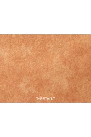 Tapetai 5523-58 Tapetai 5523-58