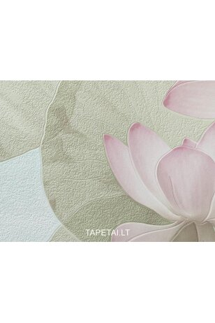 Tapetai 818703 Tapetai 818703