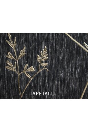 Tapetai 832DN39