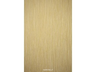 Tapetai 1020-11