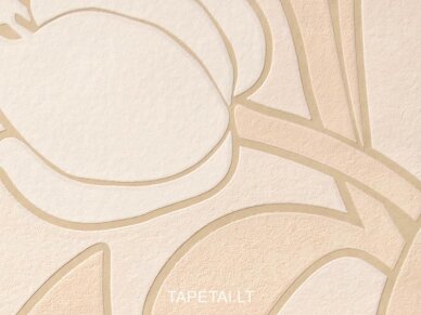 Tapetai 1153-24 1