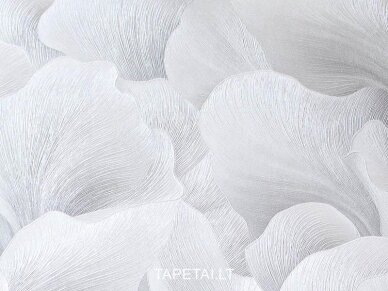 Tapetai 12255-31 1