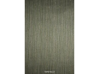 Tapetai 63002