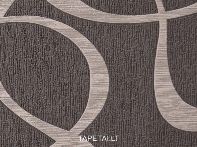 Tapetai 13503-50 1