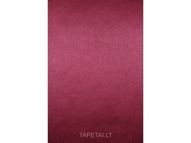 Tapetai 13875