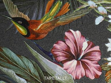 Tapetai 15517 1