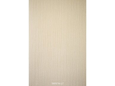 Tapetai 162-21 Tapetai 162-21