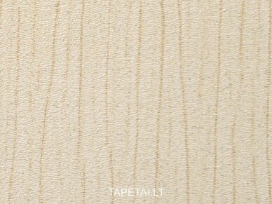 Tapetai 162-21 1