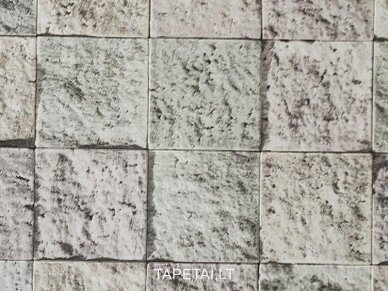 Tapetai 19007 1