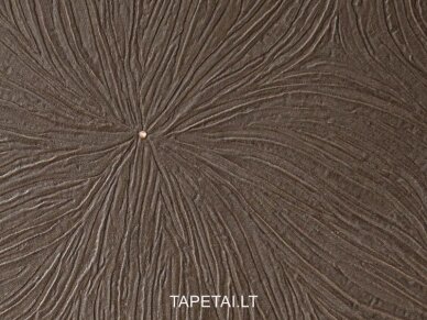 Tapetai 1962 1 Tapetai 1962 1