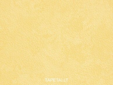 Tapetai 20045 1
