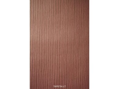 Tapetai 620047