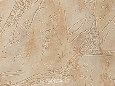 Tapetai 401707 1