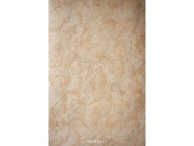 Tapetai 401707