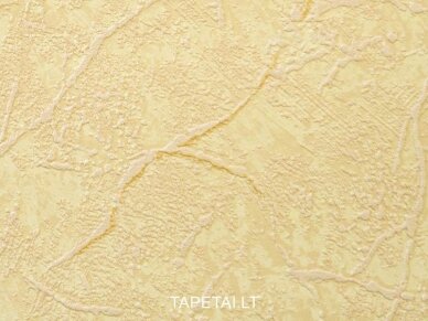 Tapetai 495516 1