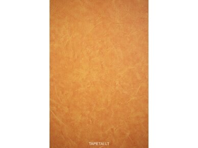 Tapetai 10828