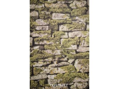 Tapetai 35809-1 Tapetai 35809-1