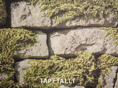 Tapetai 35809-1 1