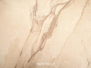 Tapetai 83208 2 Tapetai 83208 2