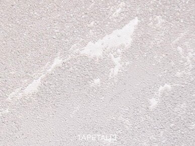 Tapetai 35219 1