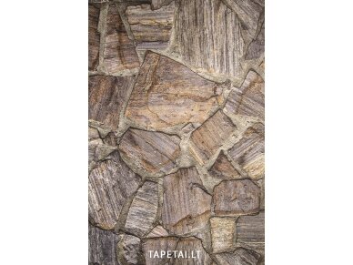 Tapetai 30724-1