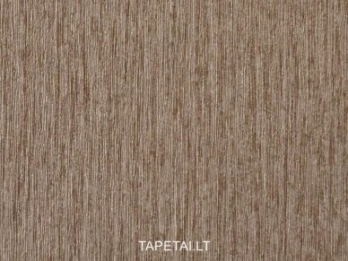 Tapetai 36571 1