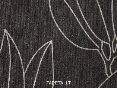 Tapetai 42020-20 1