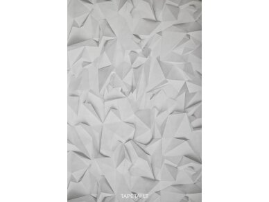 Tapetai 42097-10 Tapetai 42097-10