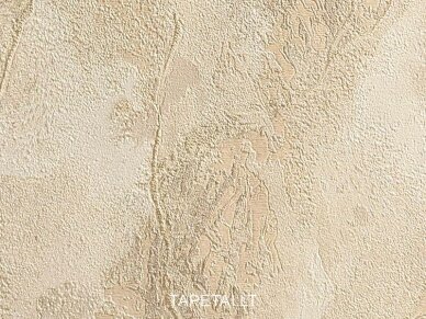 Tapetai 421ST25 1