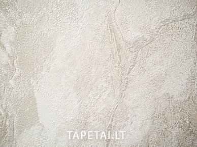 Tapetai 421ST21 1
