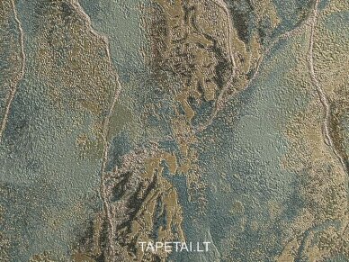 Tapetai 421ST28 1