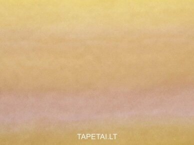 Tapetai 73227 1